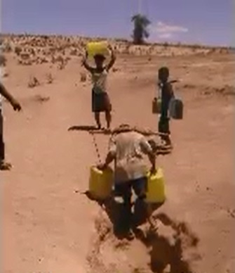 Zebù al giogo